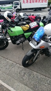 11253741_585993354877164_1961665544525467216_n